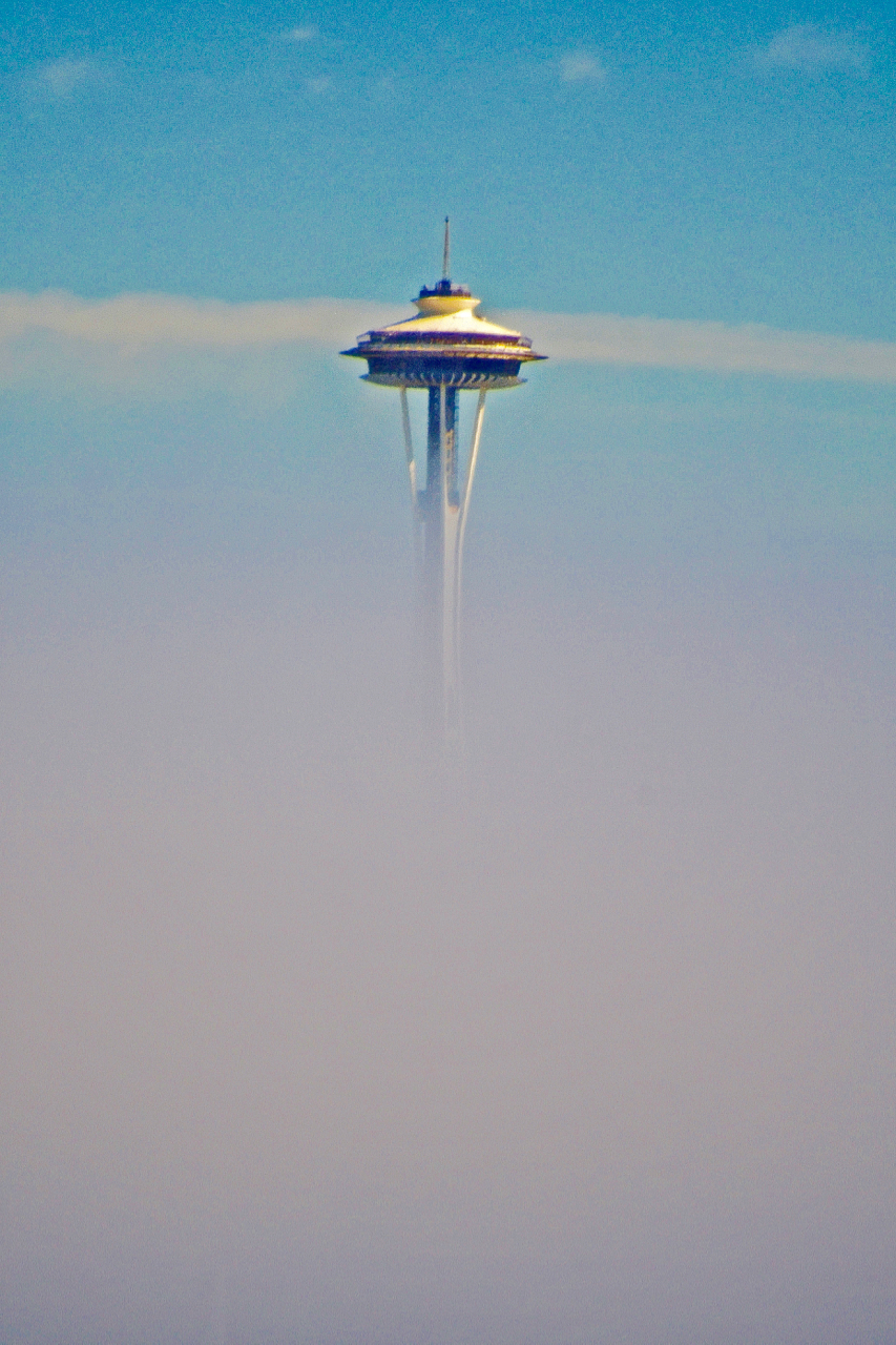 foggy needle