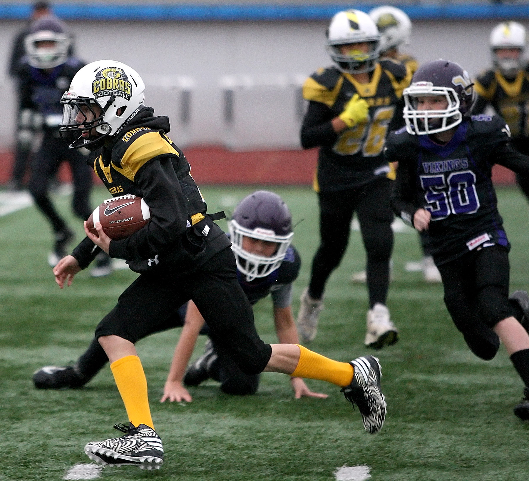 Lake Stevens Vikings and the Pasco Cobras. Final score was the Vikings 36, Cobras 0. Photo by Kurt Howard