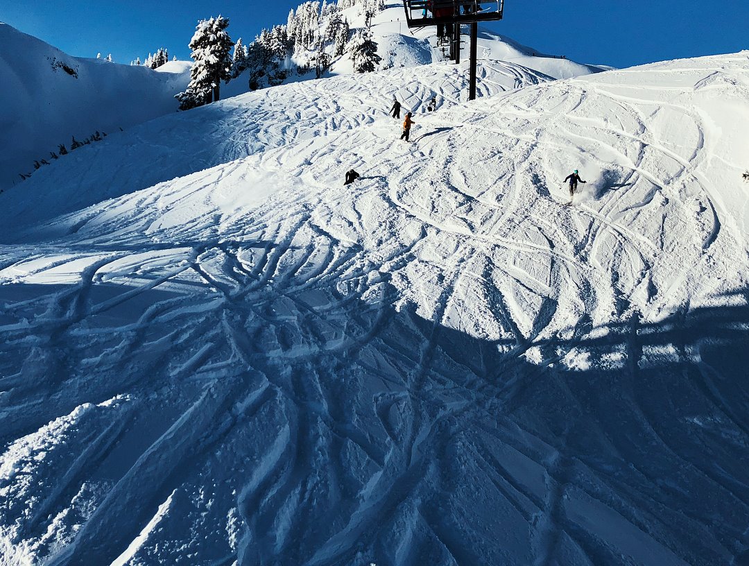 Mt. Baker Ski Area