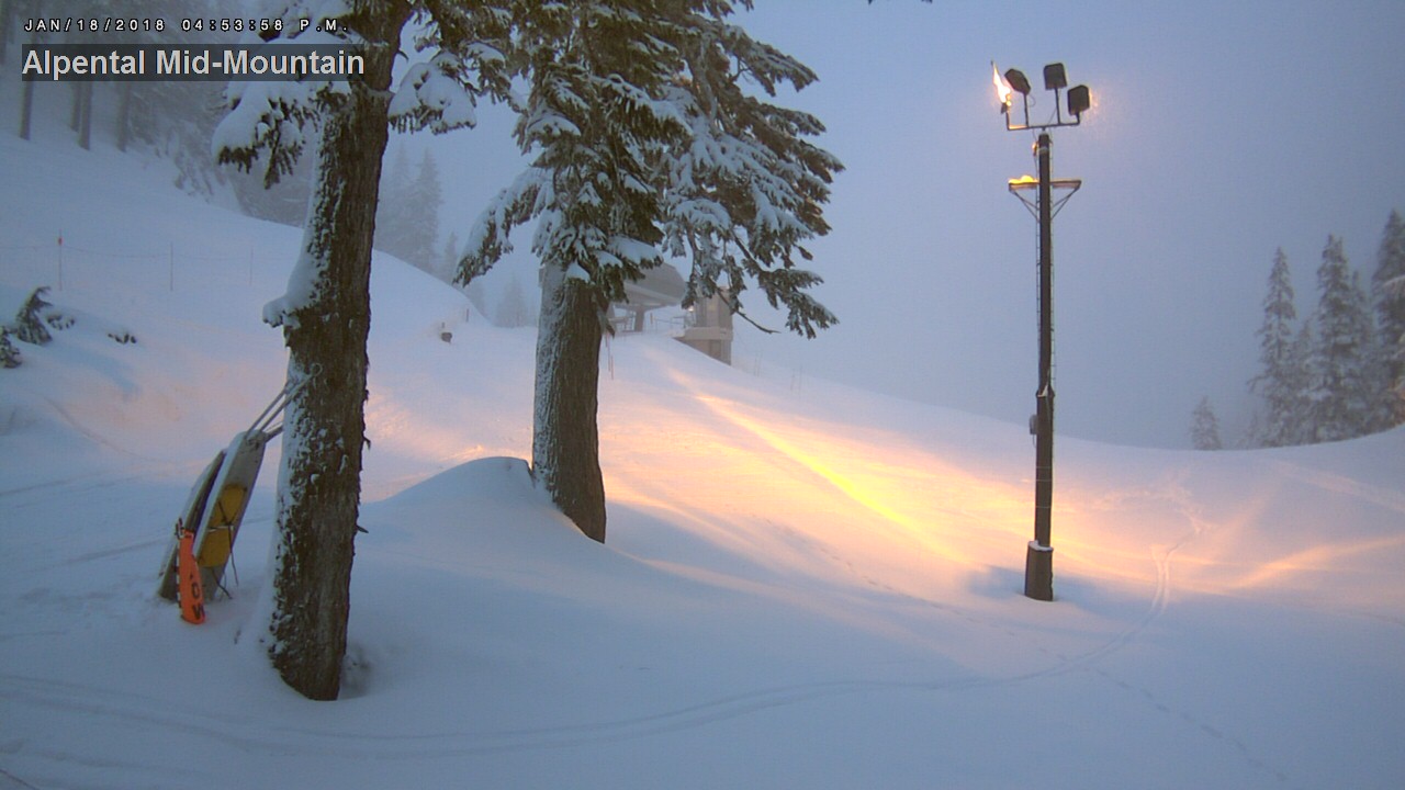 Looking snowy at Alpental!