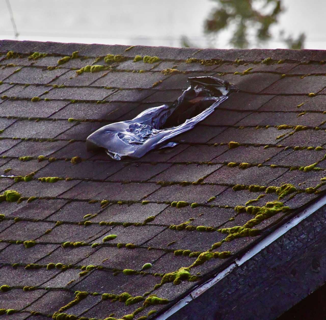 melted roof vents- West Seattle Fire