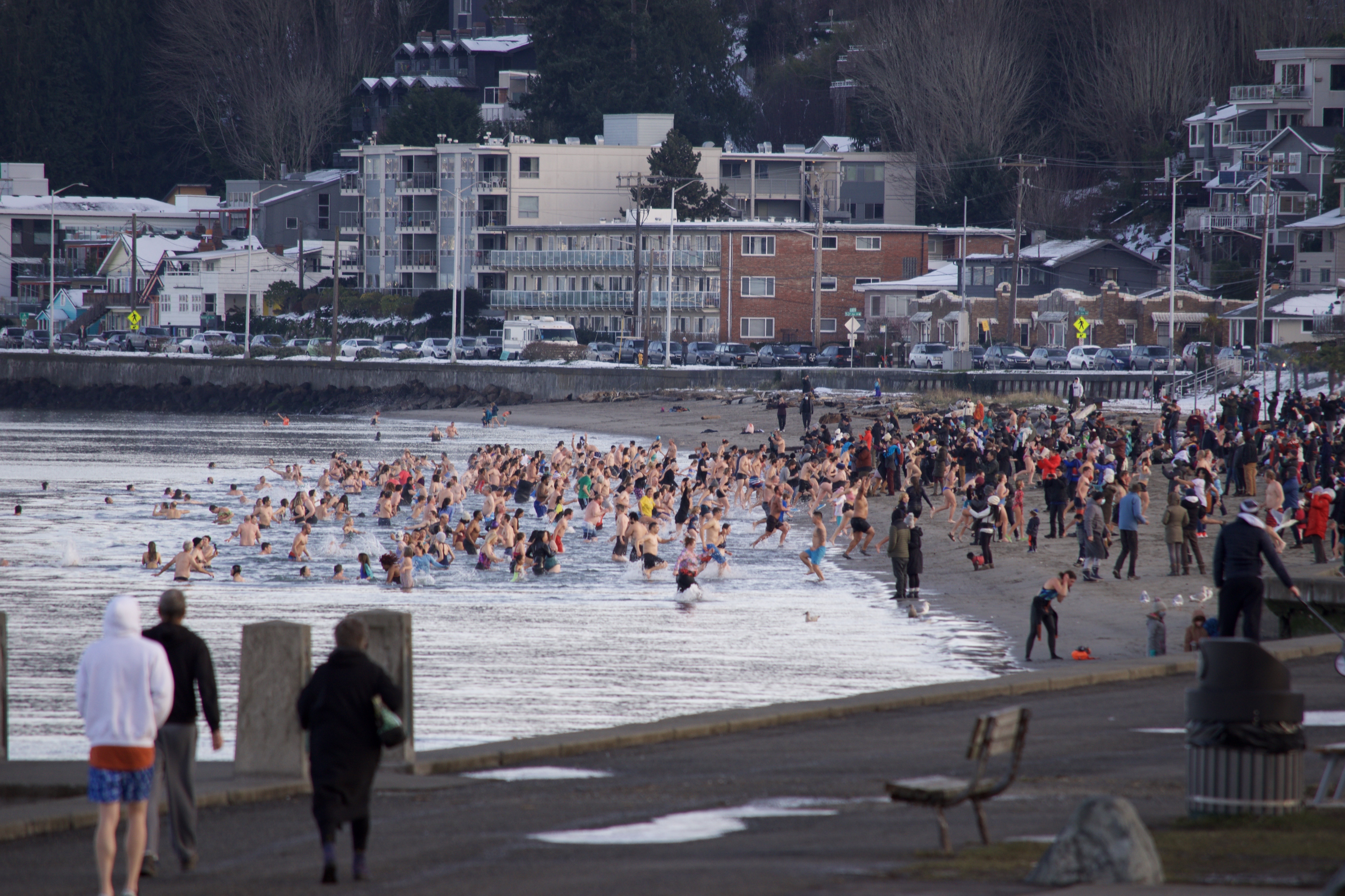 Dovenskab insulator sammensværgelse Crazy cool: Hundreds take the New Years Day plunge on Alki Beach | Westside  Seattle