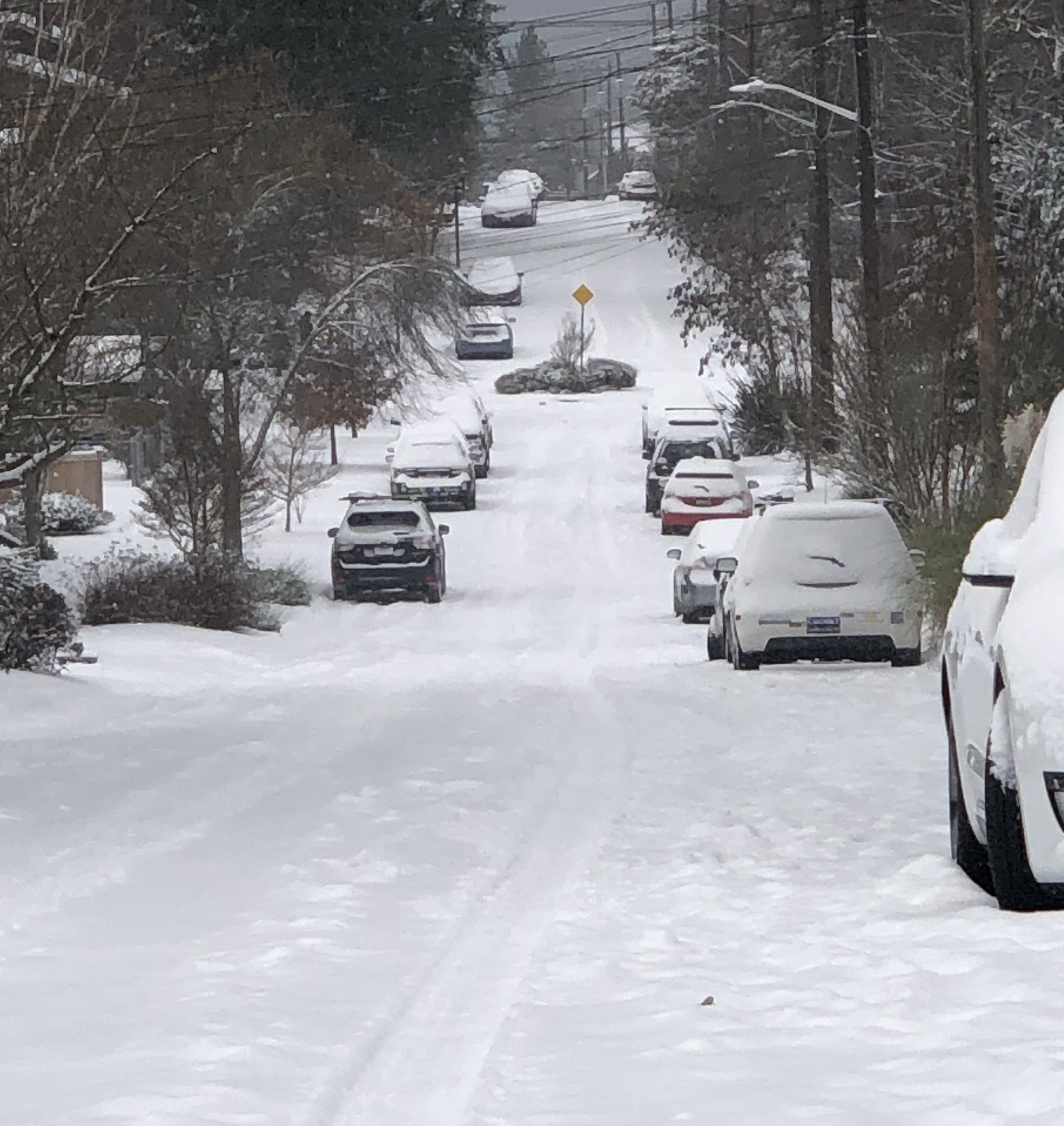 Metro And Others Respond To Frigid Weather Emergency Snow Network Activated Westside Seattle