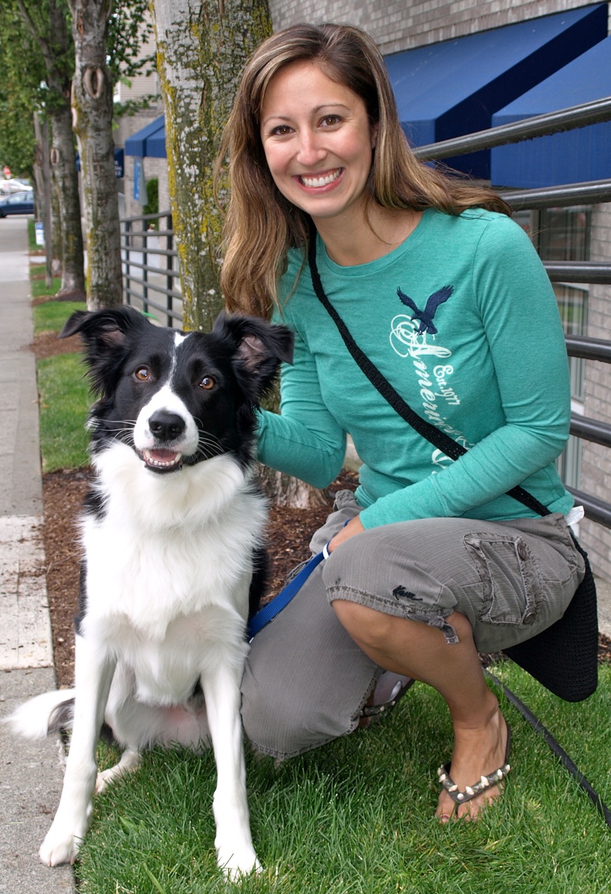 how do you train a border collie on a leash