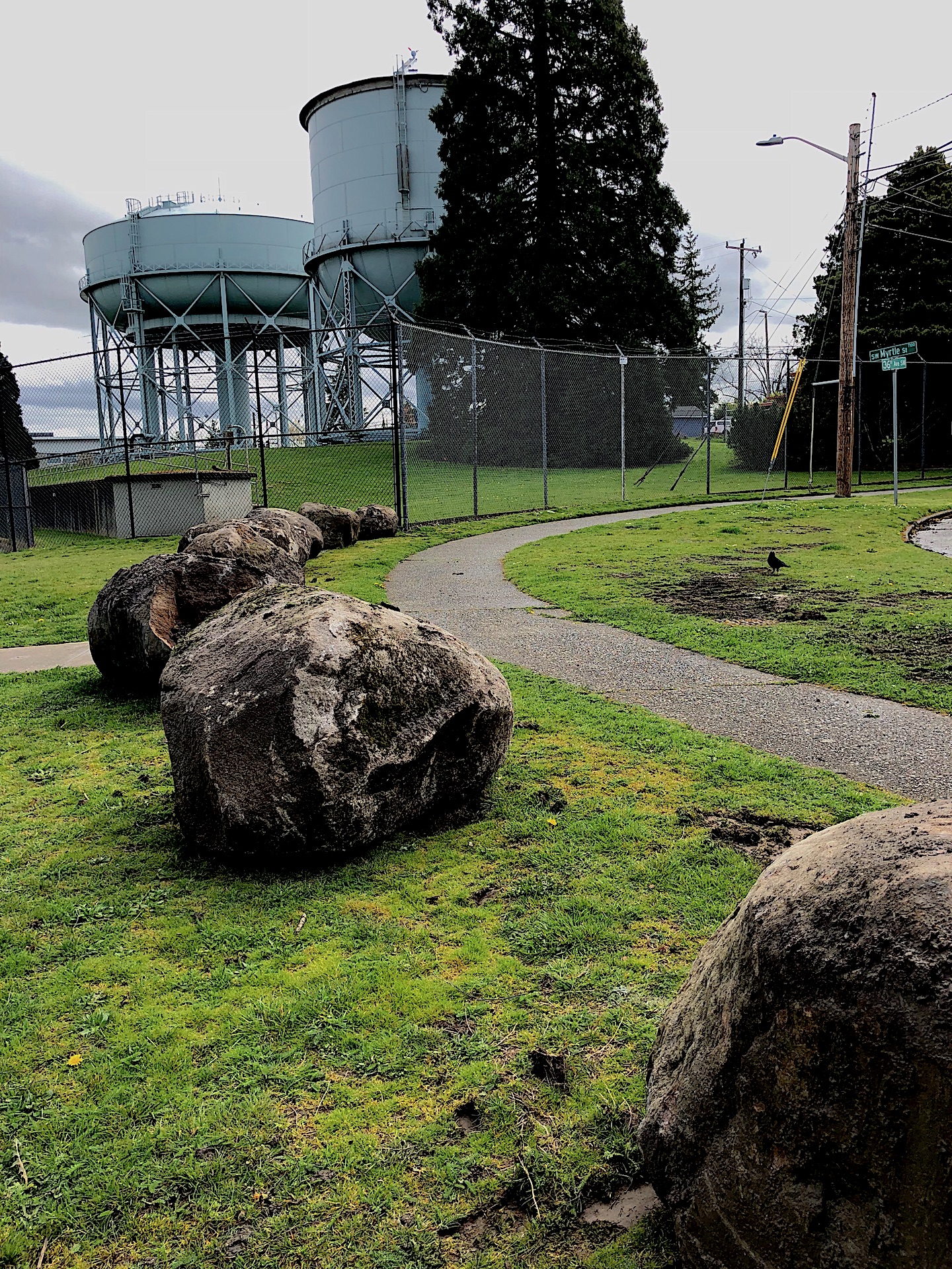 boulders at the park