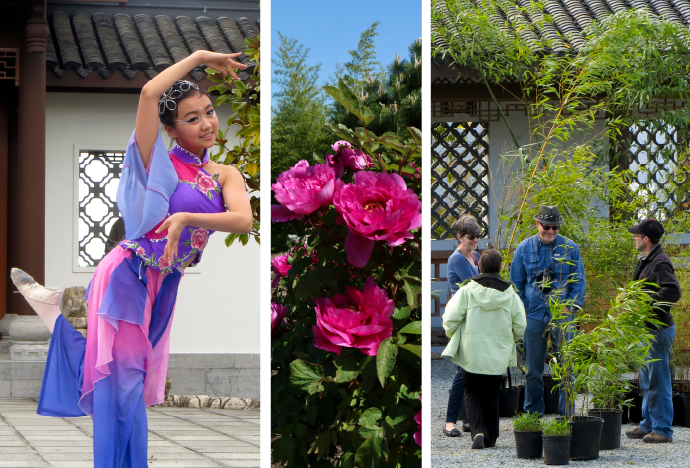 Dancing, flowers, and bamboo