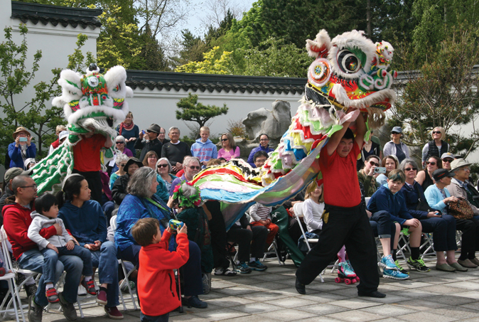 Lion Dance