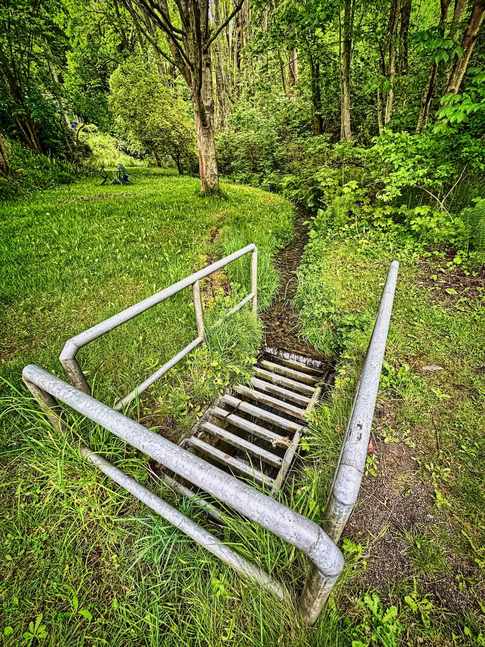 Schmitz Park Creek