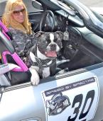 Jody Takagi brought her Boston terrier, P.J., and her 2001 Porsche Boxster