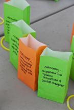Bags were set up to represent different Cancer Advocacies. Photo by Patrick Robinson DSC_5830.jpg