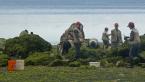 Beach Naturalists wold call out their finds as a friendly competition.