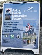 Beach Naturalists from the Seattle Aquarium patrol eleven beaches in the Puget Sound to help people discover more about our local ocean and habitat. Anywhere you see this sign a volunteer will be available to answer any questions you might have about our waters.