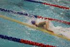 The Highline-Tyee-Evergreen team's Tyler Goodspeed, swimming his leg of the 200  yard free relay for his team of Kodie Frankele, Lucien Gauvin, Nate Williams. The four took third place, overall, in the event, at the district meet in the Hazen Pool.