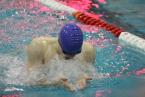Highline/Tyee/Evergreen swimmer, Nate Williams, doing the 100-yard breaststroke at the West Central District meet at the Hazen Pool in the Renton Highlands Saturday.