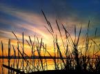 Photo by Patrick Robinson