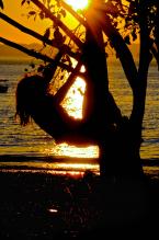 Photo by Patrick Robinson