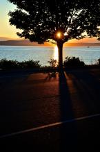 Photo by Patrick Robinson