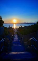 Photo by Patrick Robinson