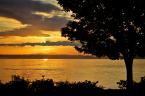 Photo by Patrick Robinson