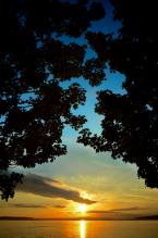 Photo by Patrick Robinson