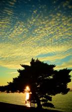 Photo by Patrick Robinson