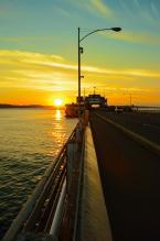 Photo by Patrick Robinson