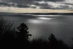 Photo by Patrick Robinson