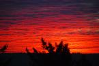 Photo by Patrick Robinson