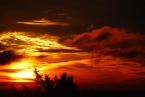 Photo by Patrick Robinson