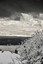Photo by Patrick Robinson
