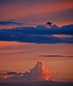 Photo by Patrick Robinson
