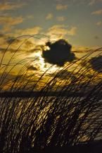 Photo by Patrick Robinson