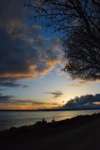 Photo by Patrick Robinson