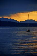 Photo by Patrick Robinson