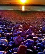 Photo by Patrick Robinson