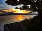 Photo by Patrick Robinson