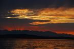 Photo by Patrick Robinson