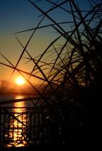 Photo by Patrick Robinson