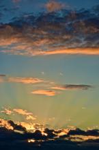 Photo by Patrick Robinson
