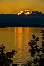 Photo by Patrick Robinson