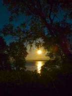 Photo by Patrick Robinson