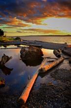 This is actually from Seahurst Park in Burien but too pretty not to include! Photo by Patrick Robinson