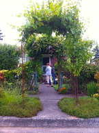 E-Garden- A double arbor form frames for the entry way  for Kathleen Kemp and Tad Davis