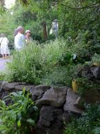 F Garden -Diane Kelleher - Photo by Kimberly Robinson