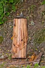 Photo by David Rosen