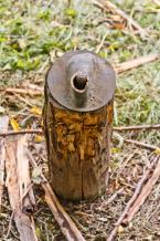 Photo by David Rosen