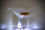 Plastic on the ceiling to collect dripping water through the roof. Photo by Patrick Robinson