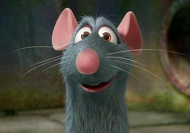 rat