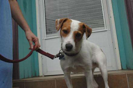 news01.jpg news01.jpg