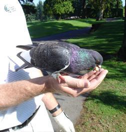 columnist01.jpg columnist01.jpg